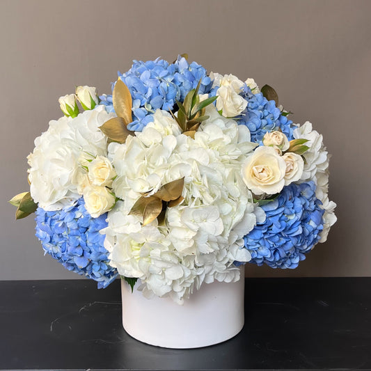 Hanukkah Harmony Blooms