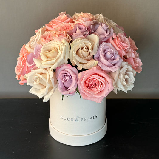 White and pink roses in a white vase